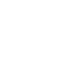 Asset-10